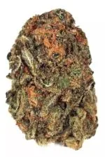 Acapulco Gold Strain