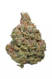 Afghan Kush