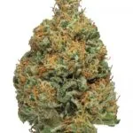 blueberry muffin strain