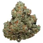 Chemdawg strain
