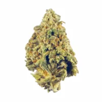 doc's og strain
