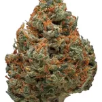 Durban Poison strain