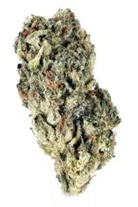 Ghost Train Haze Strain