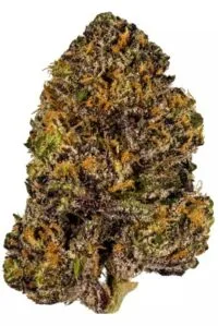 Grand Daddy Purple