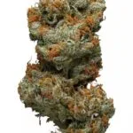 Grapefruit Strain
