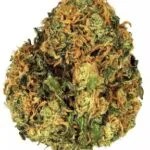 Green Crack Strain