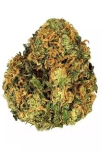 Green Crack Strain