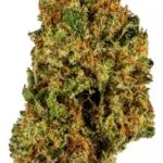 Harlequin strain