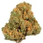 Jack Herer strain