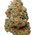 Vanilla Kush strain