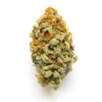 Banana Hammock Strain