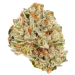 Devils Lettuce Strain