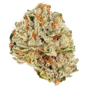 Devils Lettuce Strain