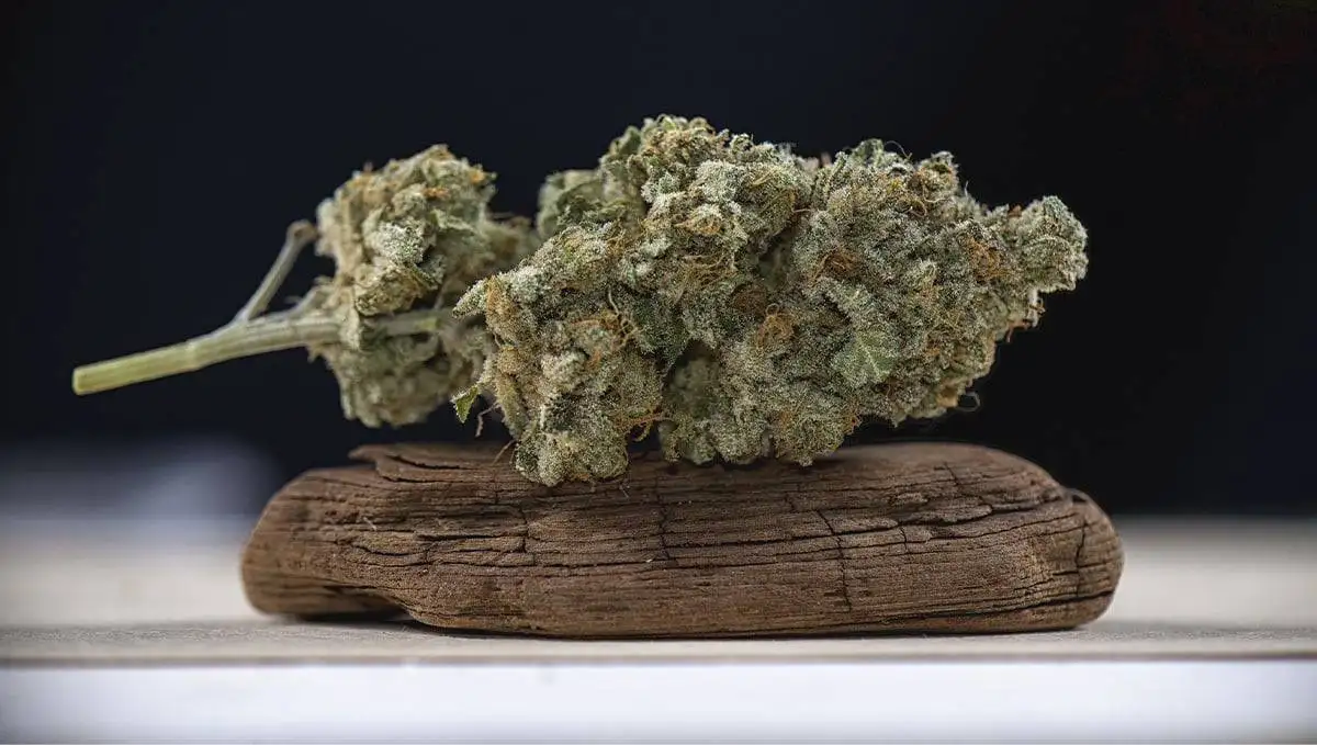 hash weed